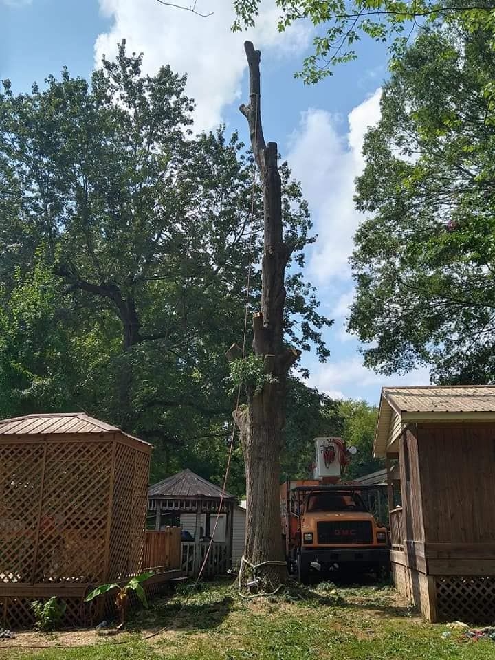 lot clearing and grading waxhaw nc