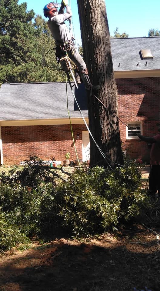 insurance claims waxhaw nc