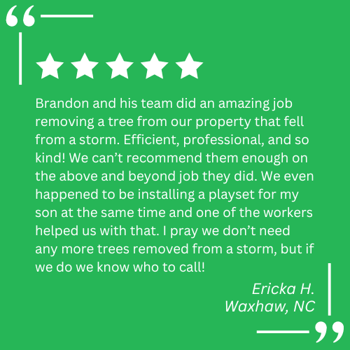 emergency tree work waxhaw nc
