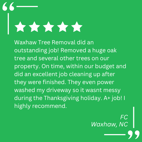 emergency tree work waxhaw nc
