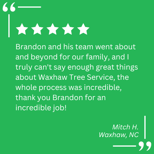 emergency tree work waxhaw nc
