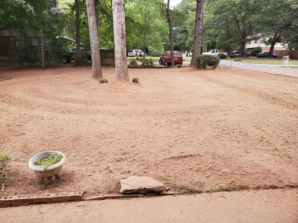 emergency tree removal waxhaw nc