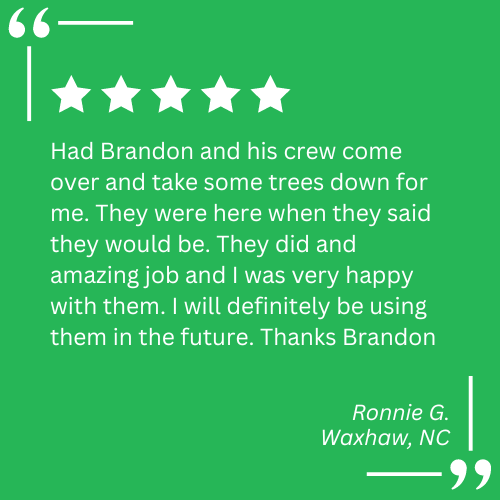 land clearing contractor waxhaw nc
