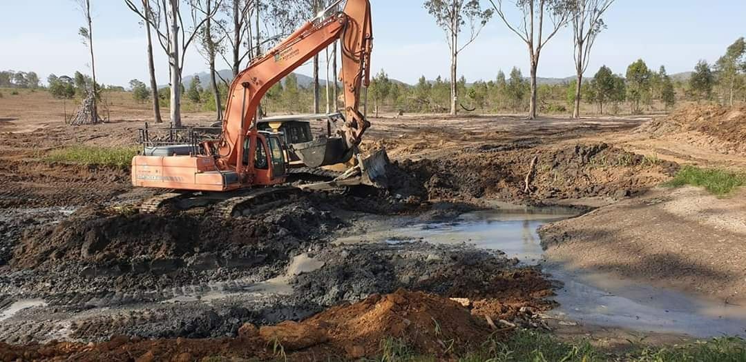 Ongoing Land Clearing Activity