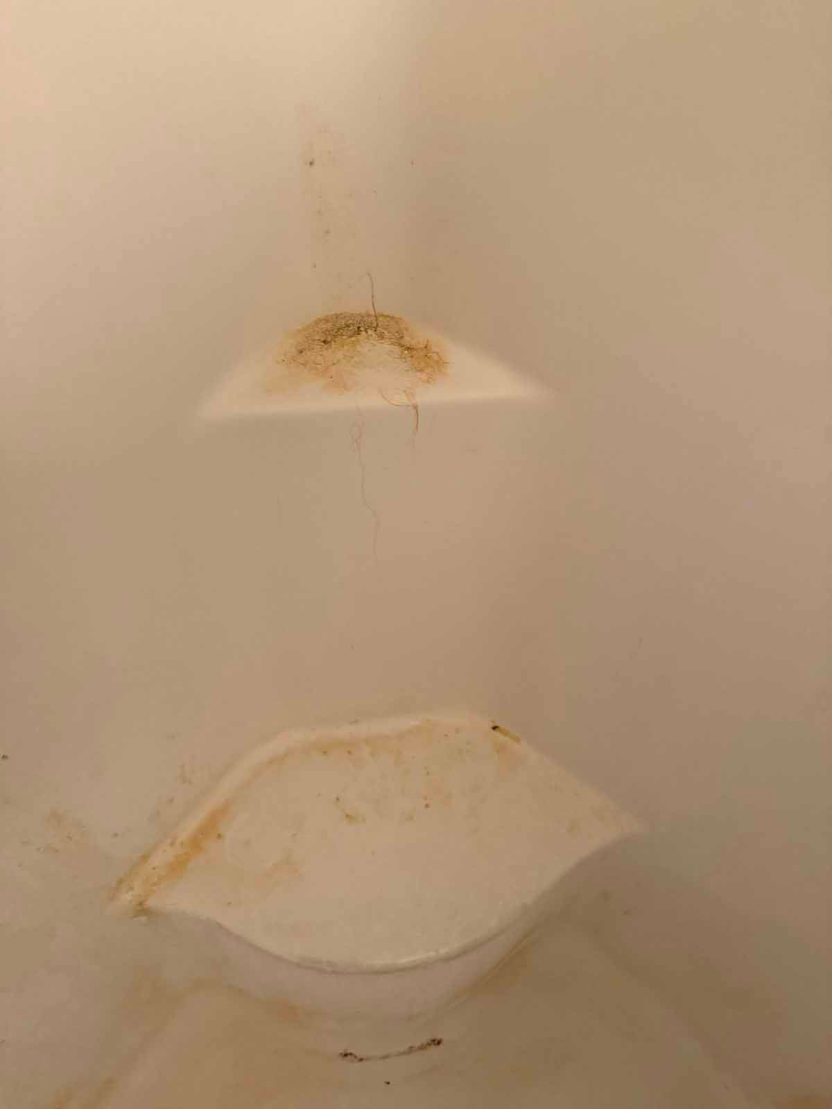 White interior with two brown-stained triangular shapes.