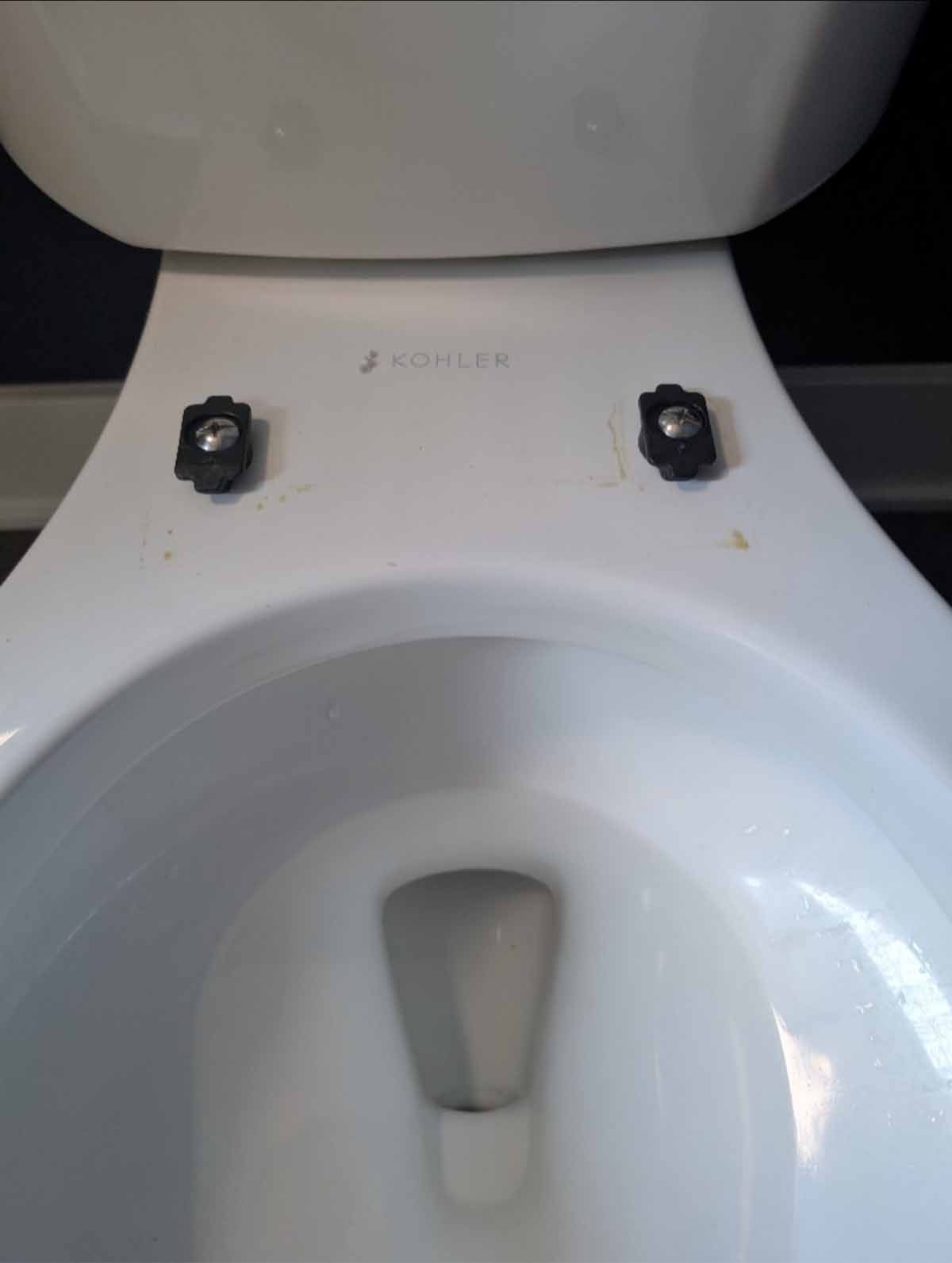 White toilet bowl with seat, black knobs on top.