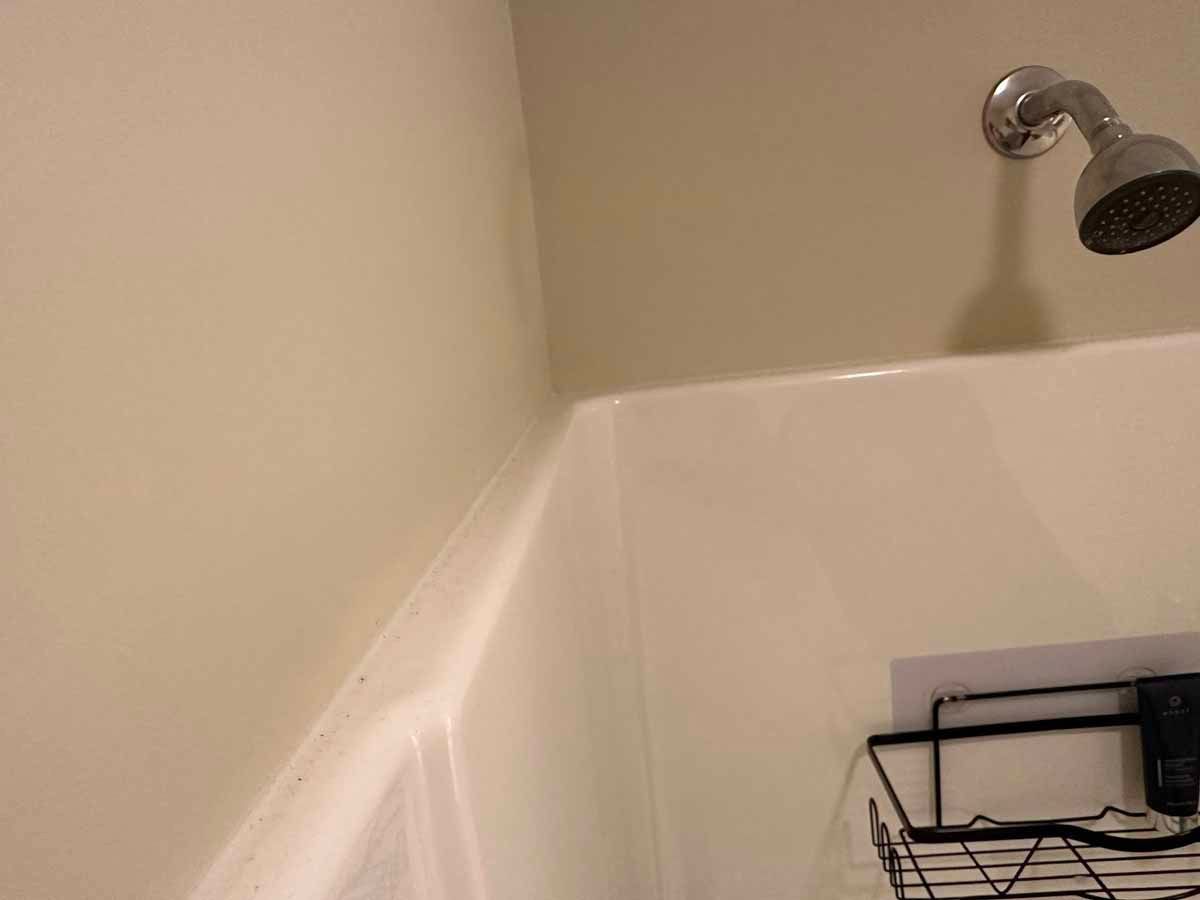 White shower stall corner with a silver showerhead and off-white walls.