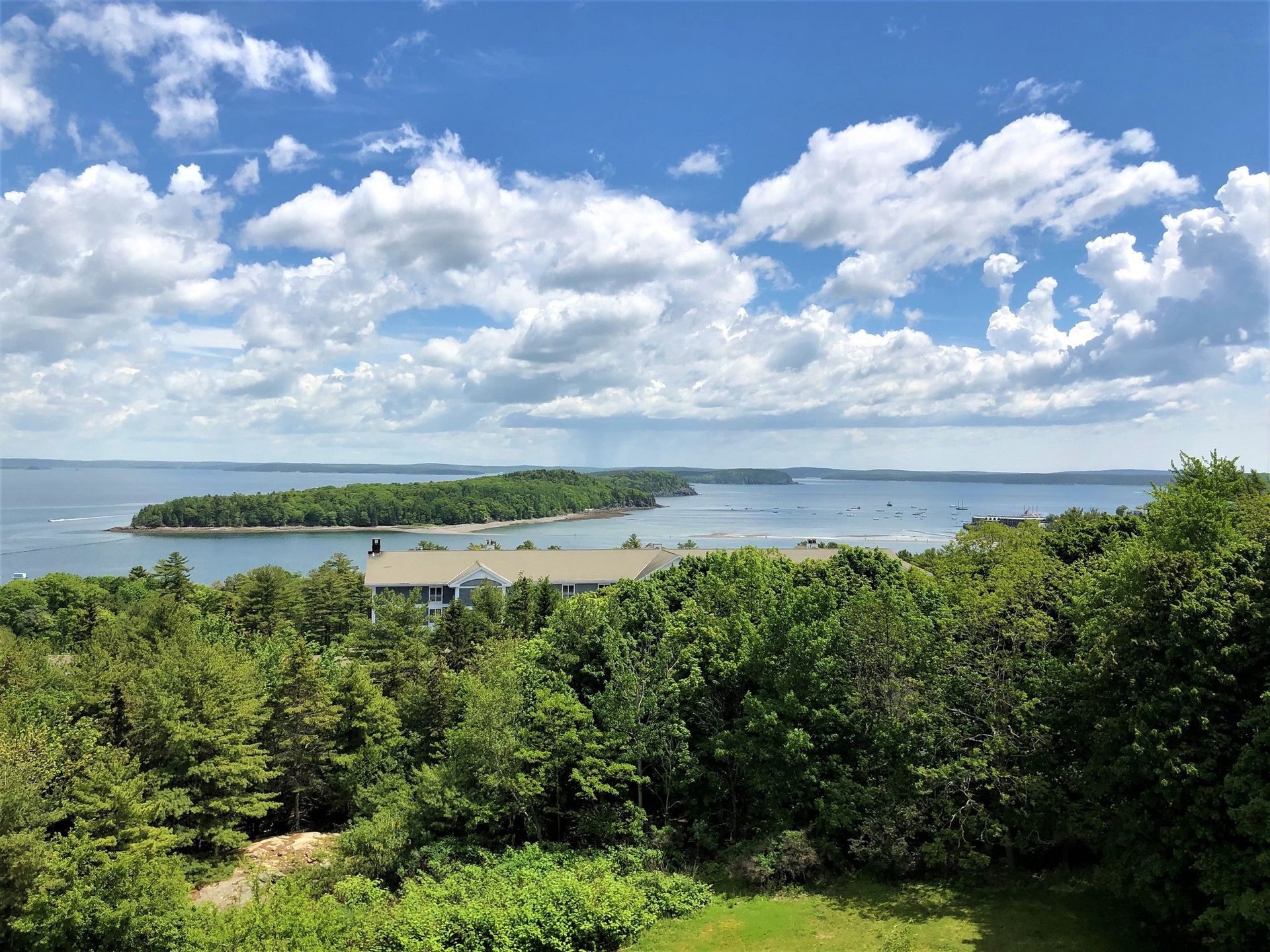 A view of a body of water with trees in the foreground and a house in the background.