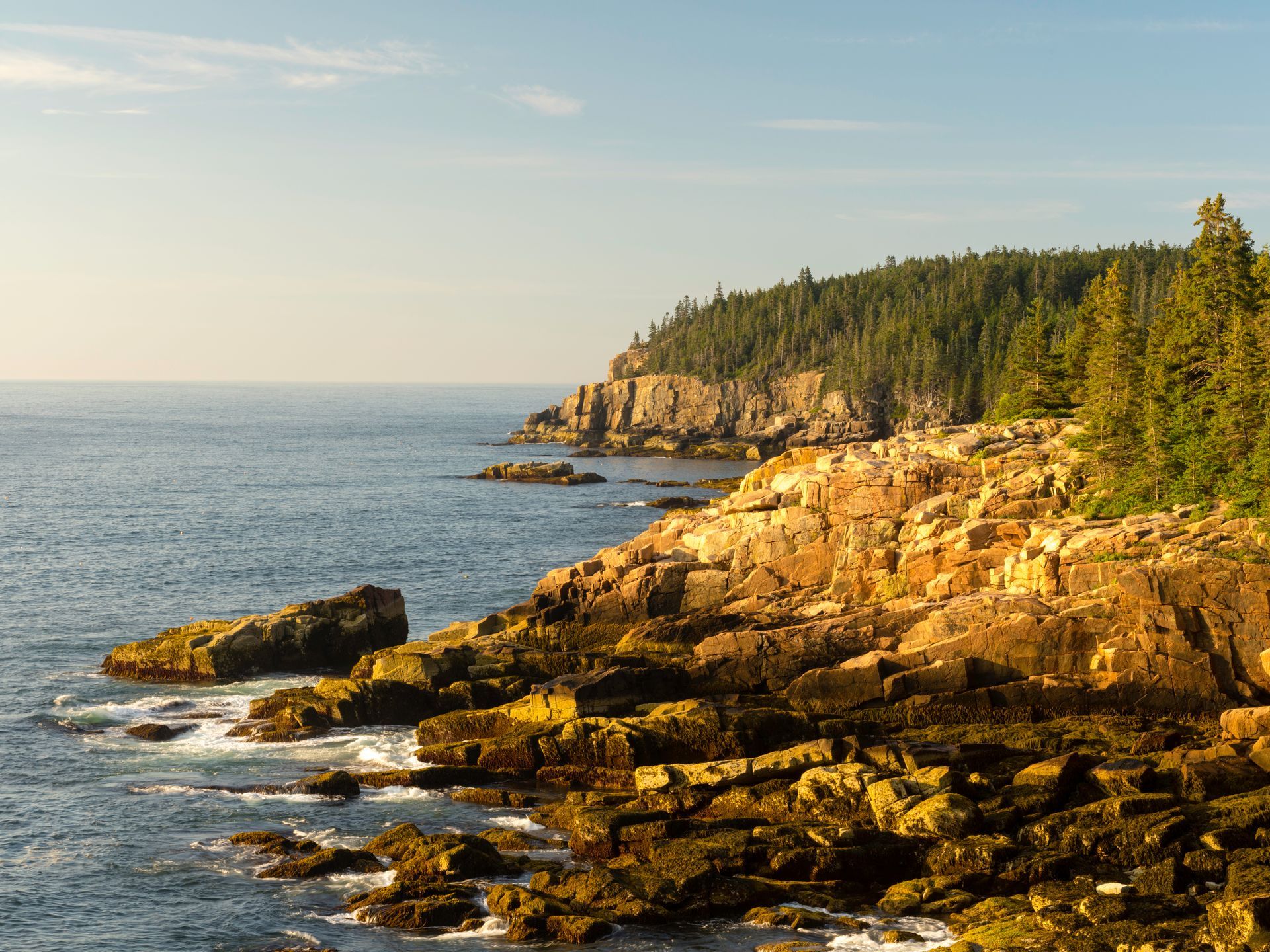 A cliff overlooking a body of water with rocks and trees