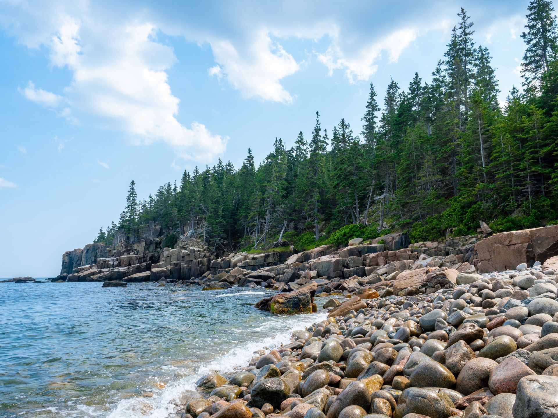 A rocky beach next to a body of water with trees on the shore.