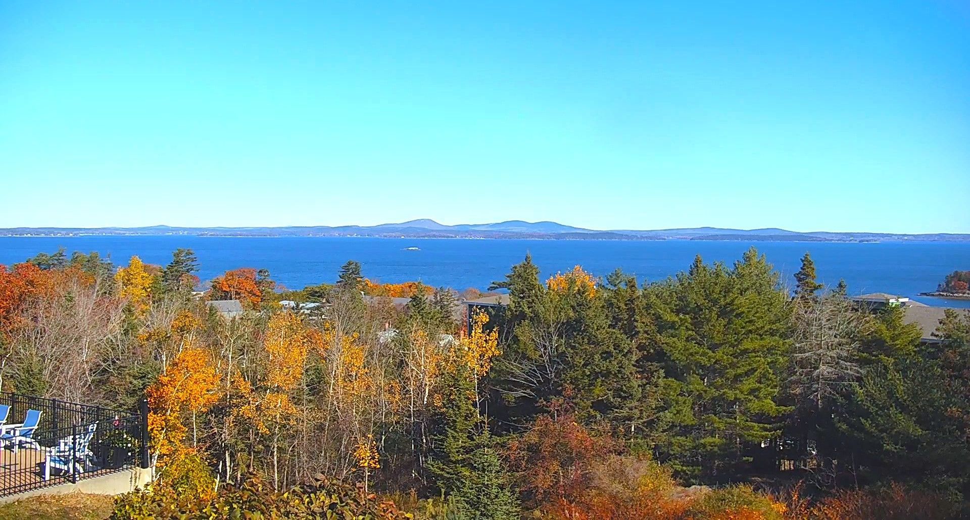 A view of the ocean from a hill with trees in the foreground