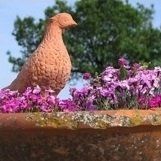uccello in terracotta