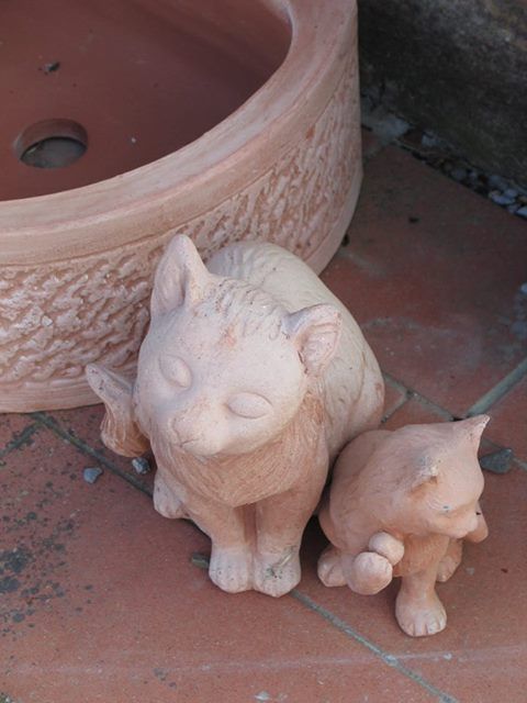 gatti in ceramica