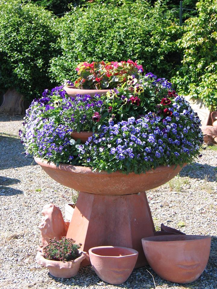 vaso in terracotta con fiori