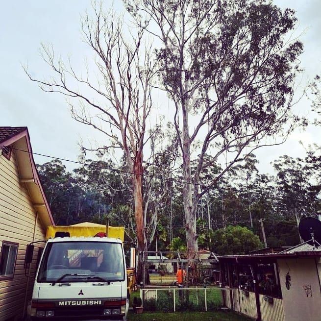 Truck — Rainbow Flat, NSW — Tree Solutions NSW