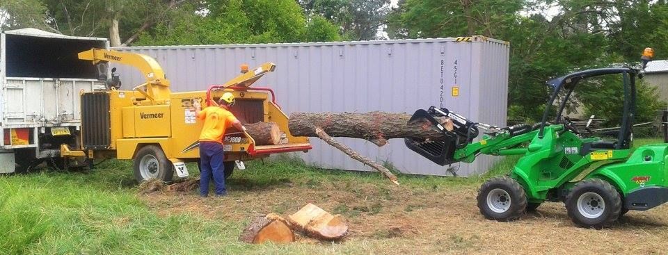 Workers Cutting Tree — Rainbow Flat, NSW — Tree Solutions NSW