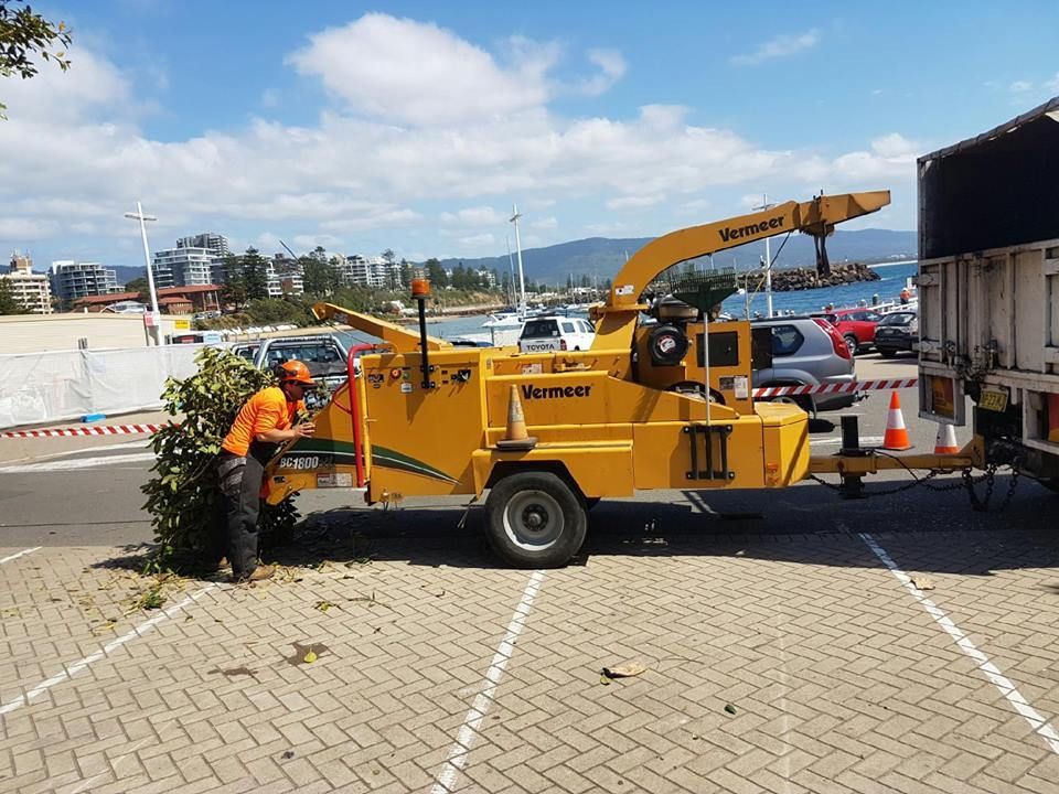 Tree Chipper — Rainbow Flat, NSW — Tree Solutions NSW