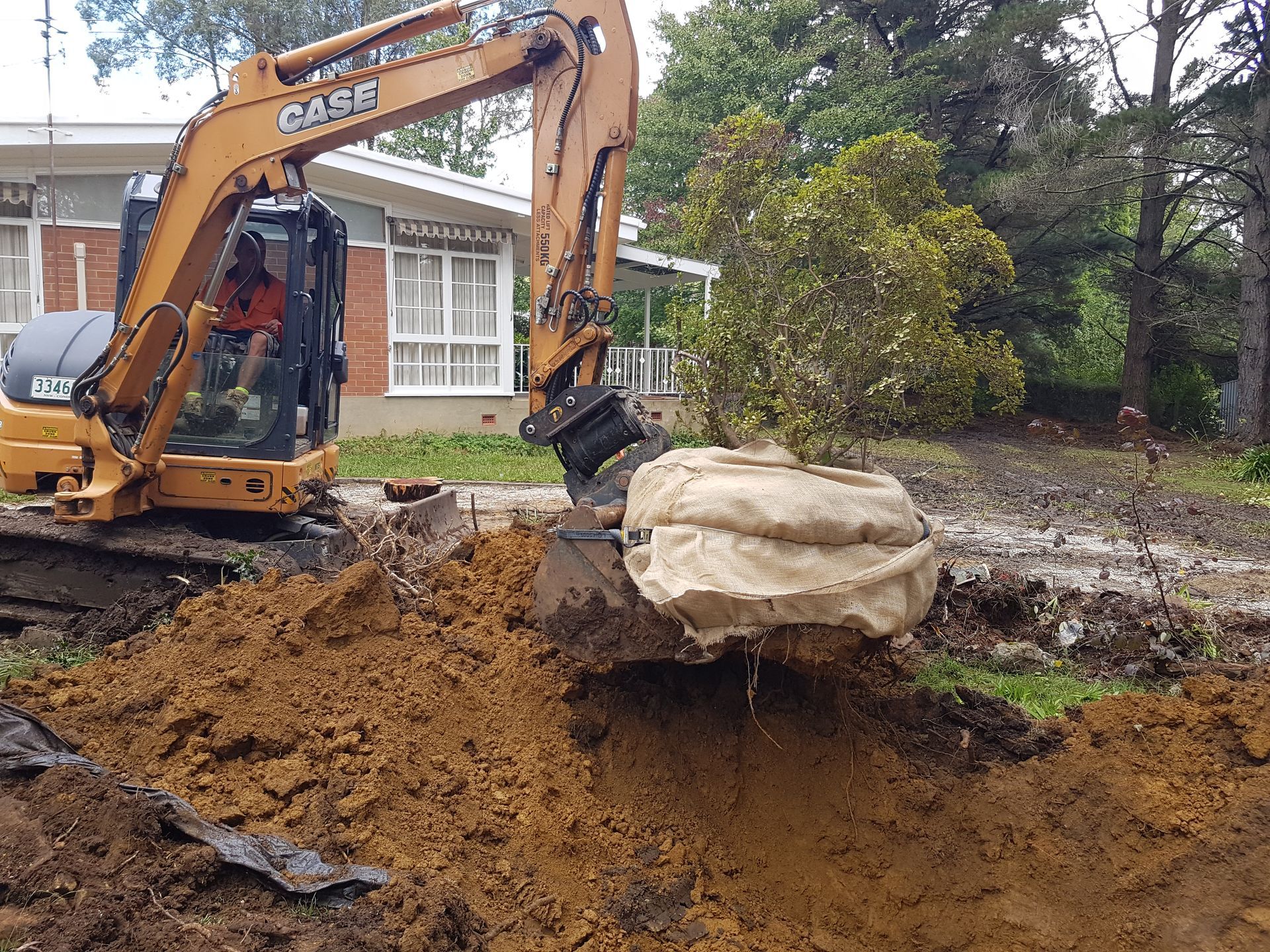 Stump Removal— Rainbow Flat, NSW — Tree Solutions NSW