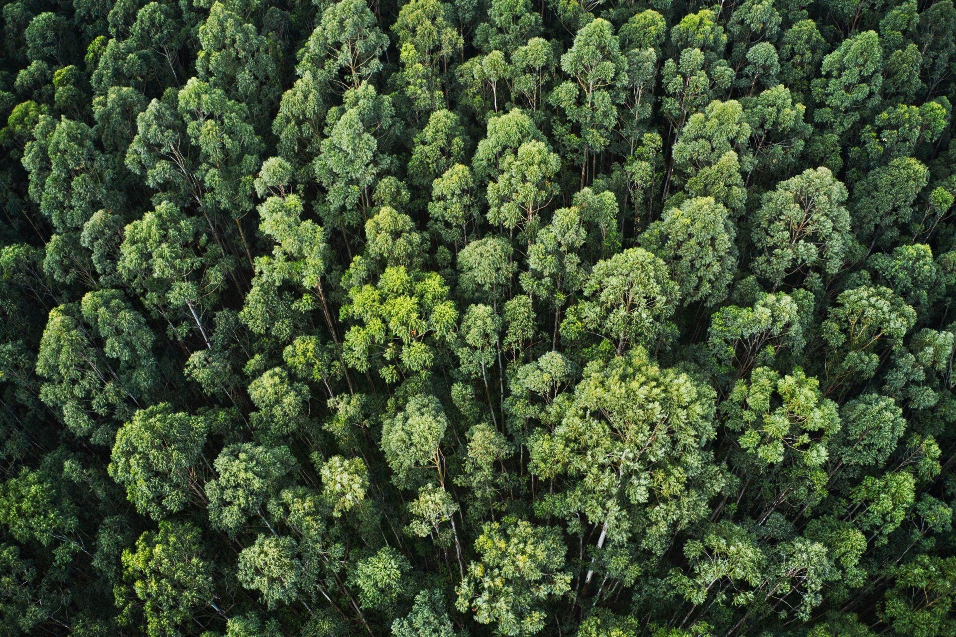 Klimafreundliches Fulfillment