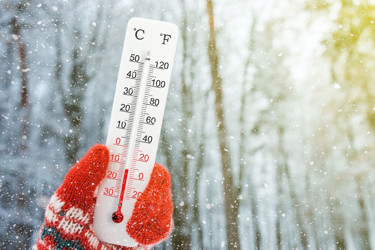 Hand holding a thermometer in snowy woods, showing temperature around 10 degrees Fahrenheit.
