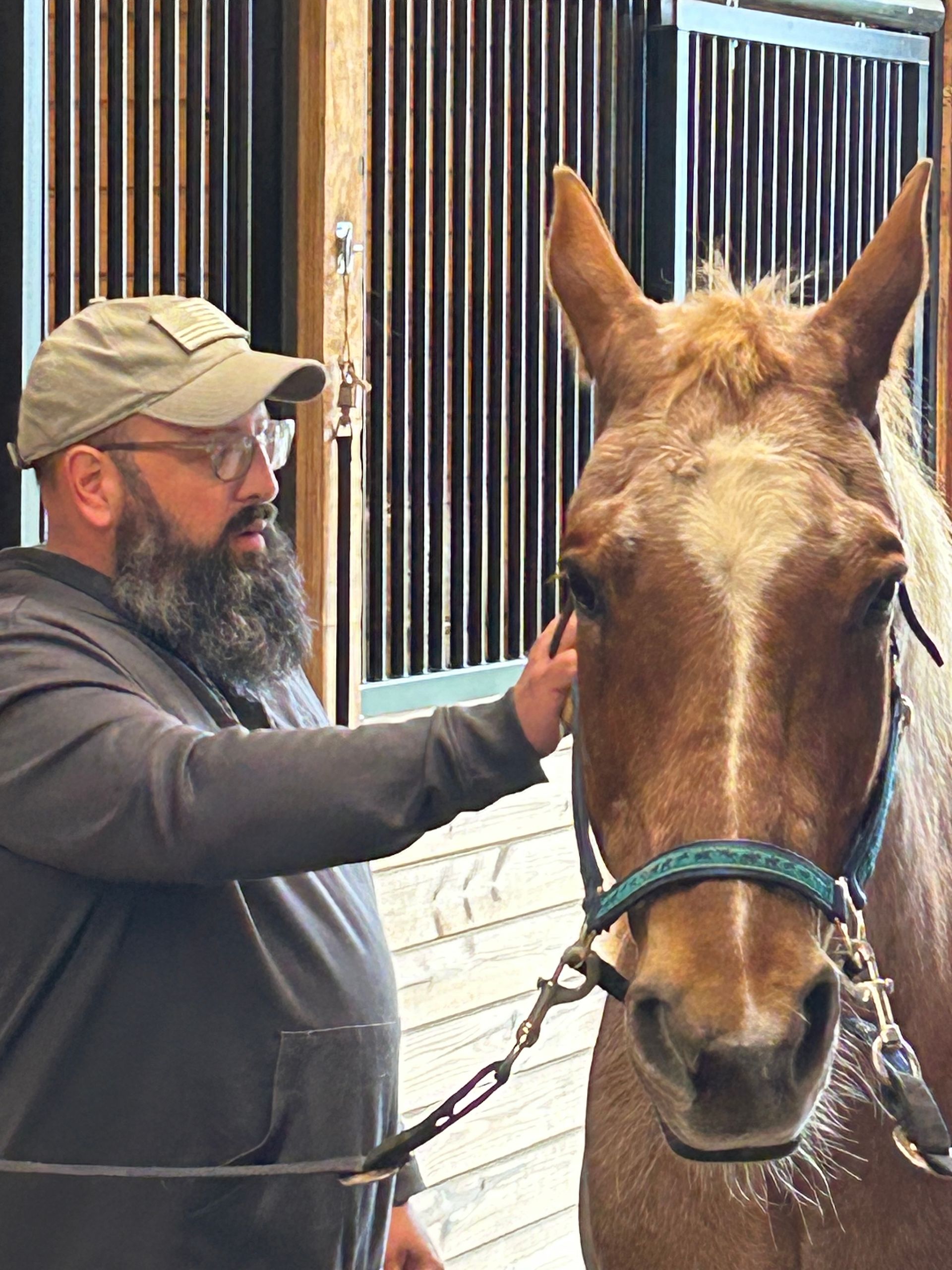 Man petting a brown mule in a stable, with barn stalls in the background