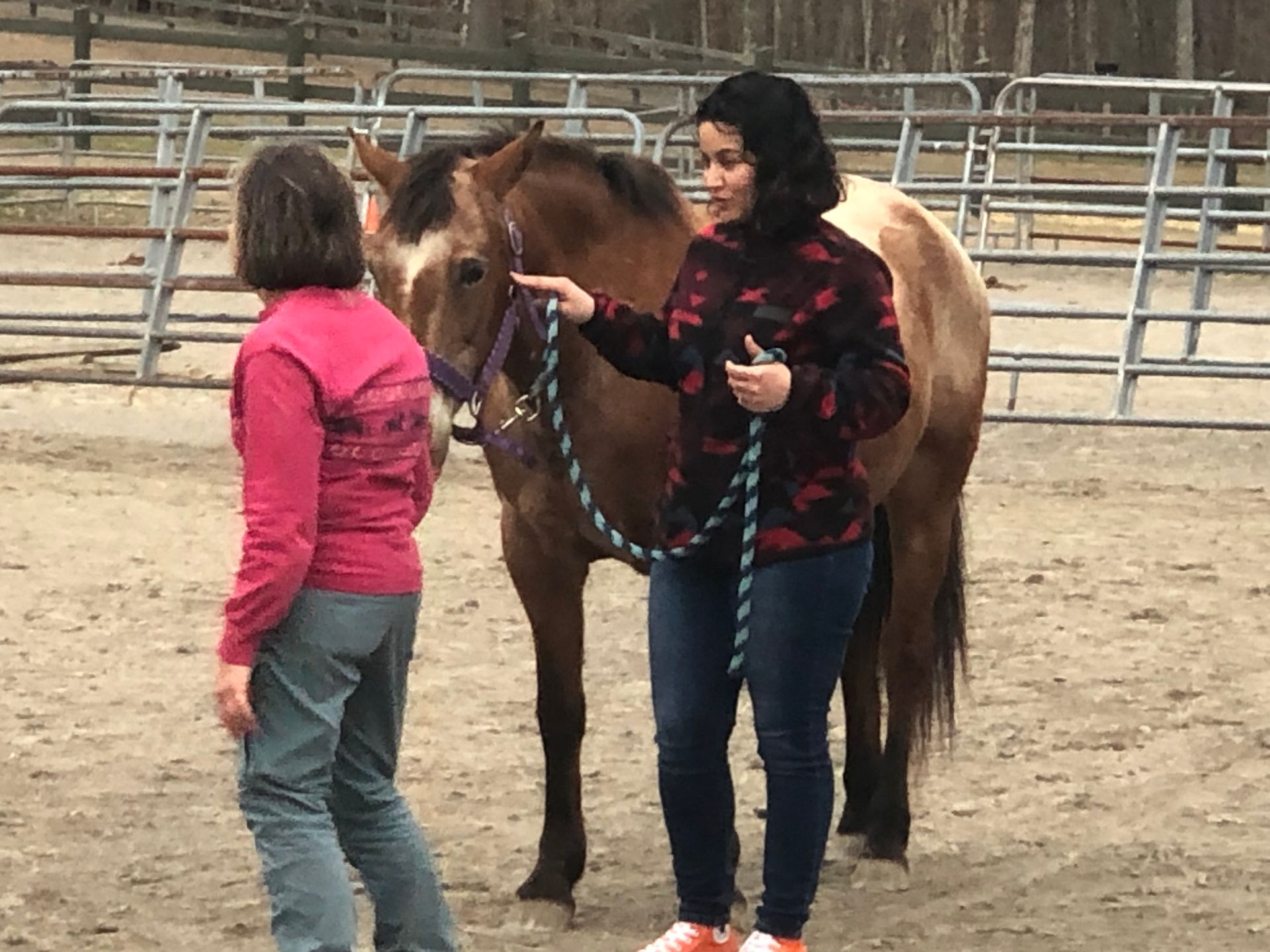 Two women are standing next to a brown horse and talking to it.