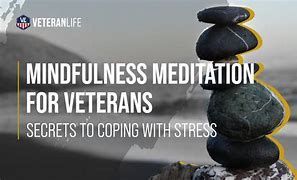 Mindfulness meditation for veterans : secrets to coping with stress