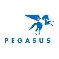 The pegasus logo is a blue horse with wings.