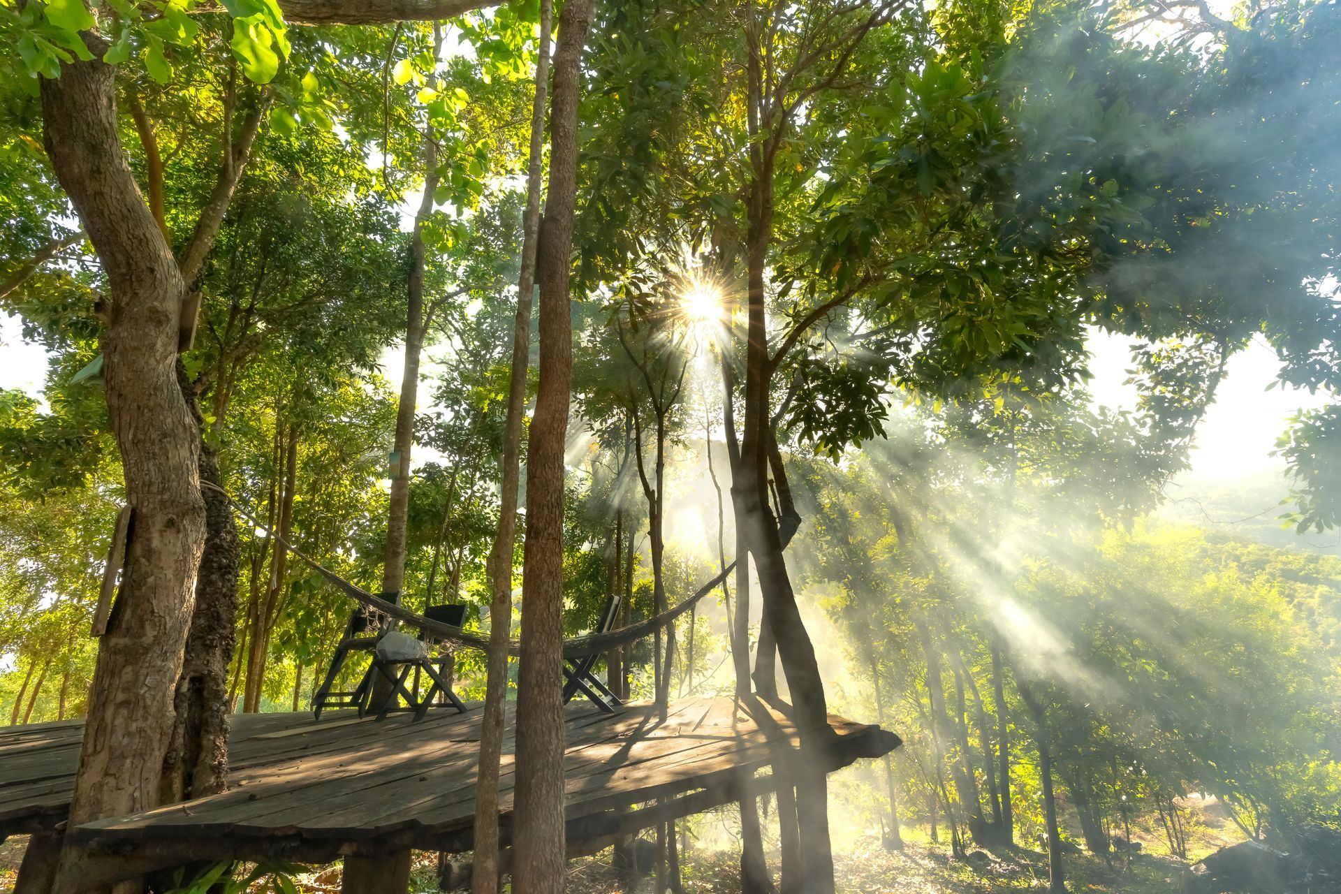 Sunbeams stream through tall green trees in a wooded park, with a wooden bench on a hillside path.