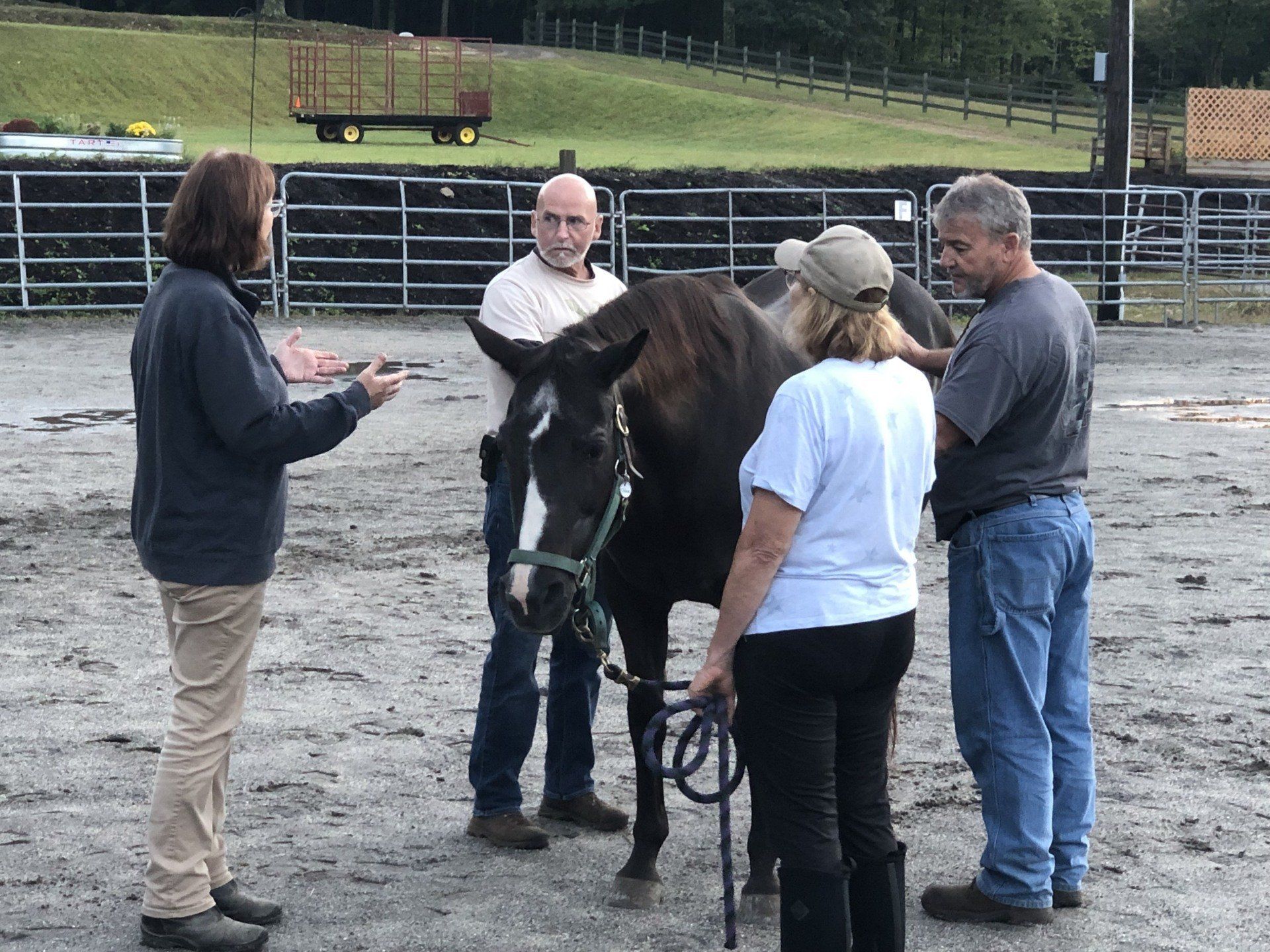 A group of people standing around a horse in a dirt field