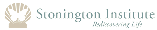 A logo for stonington institute rediscovering life