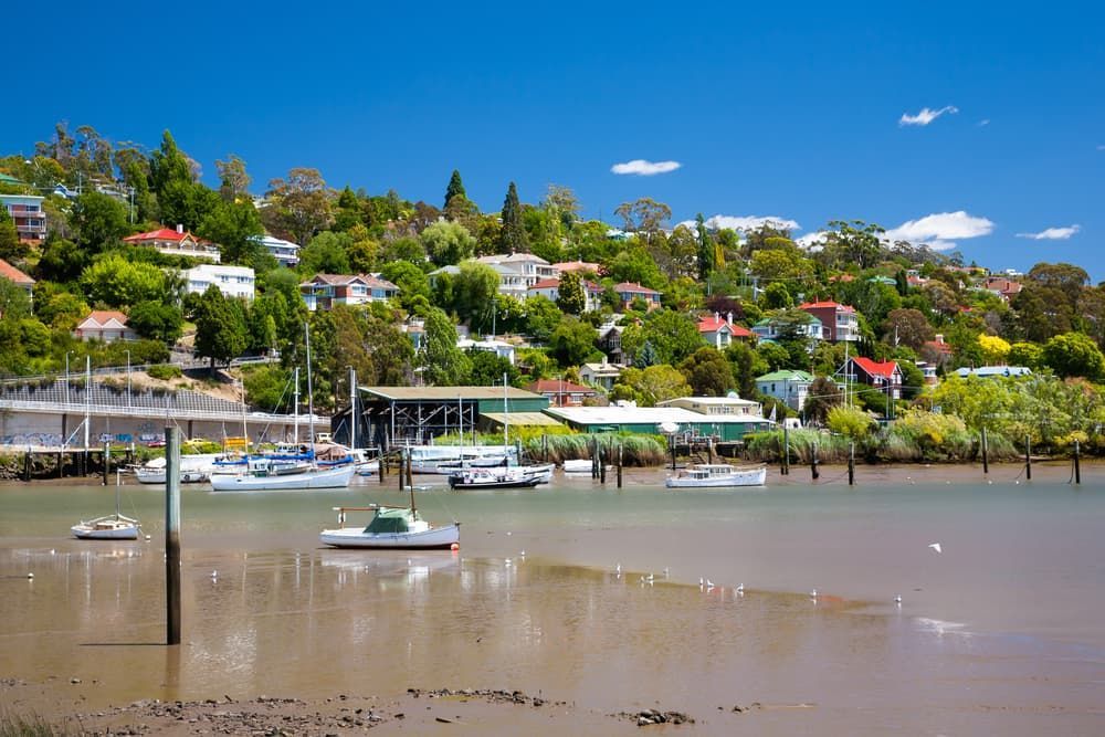 A Group of Boats Are Docked in a Harbor With a City in the Background — Excess Cleaning in Launceston, TAS