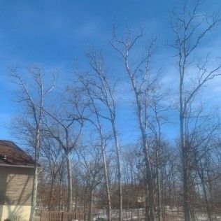 Top Quality Landscaping | Gallery | Image 3