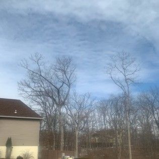 Top Quality Landscaping | Gallery | Image 4