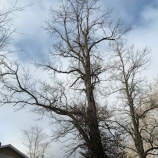 Top Quality Landscaping | Gallery | Image 9