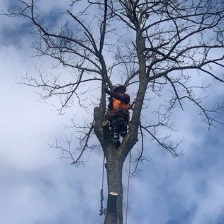 Top Quality Landscaping | Gallery | Image 8