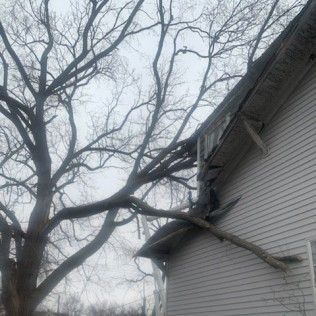 Top Quality Landscaping | Gallery | Image 12