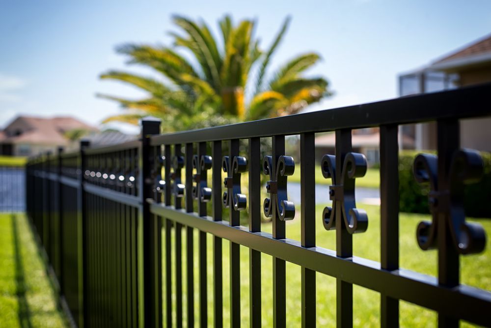 A Black Fence with Small Design and Palm Tree in Background— SMH Valley Fencing & Maintenance In Millfield, NSW