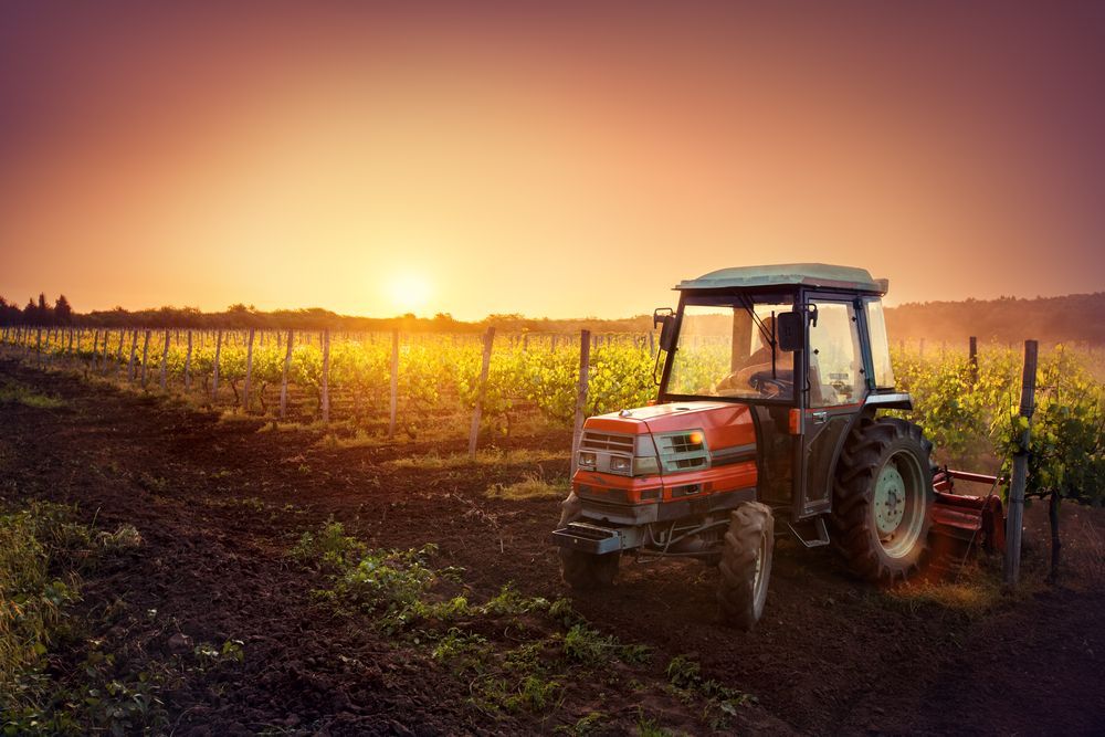 A Tractor is Plowing a Vineyard at Sunset — SMH Valley Fencing & Maintenance In Rutherford, NSW