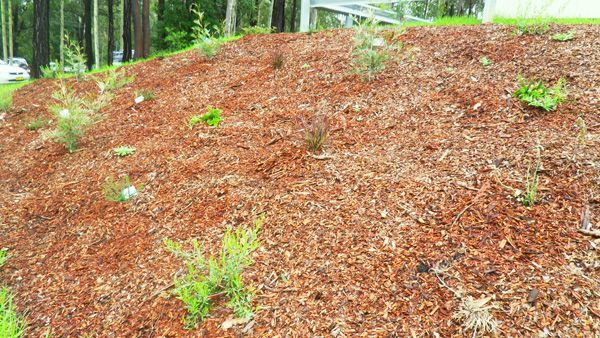 A Pile of Mulch on a Hillside With Trees in the Background — SMH Valley Fencing & Maintenance In Maitland, NSW
