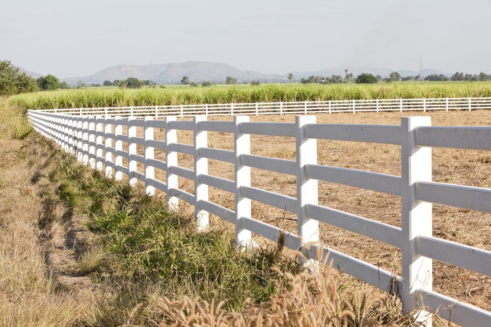 A White Fence Surrounds a Field of Dry Grass — SMH Valley Fencing & Maintenance In Millfield, NSW