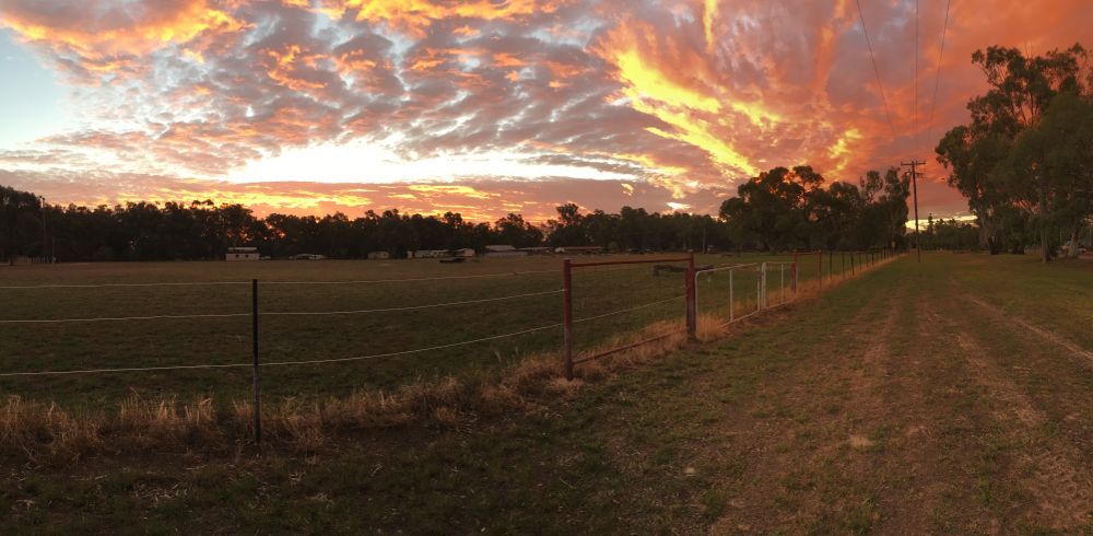 A Sunset Over a Field With a Fence in the Foreground — SMH Valley Fencing & Maintenance In Millfield, NSW