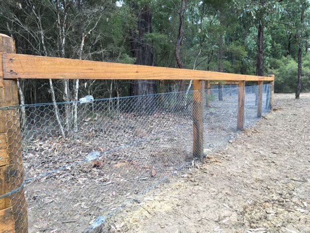 A Dog Proof Fence in Rural Bush — SMH Valley Fencing & Maintenance In Millfield, NSW