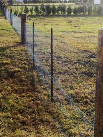 A Fence is Surrounding a Grassy Field With Trees in the Background — SMH Valley Fencing & Maintenance In Millfield, NSW
