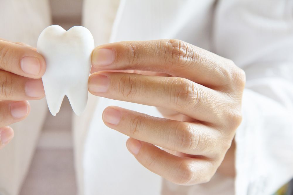 A Person Is Holding A Model Of A Tooth In Their Hands — Regal's Dental In Yeppoon, QLD
