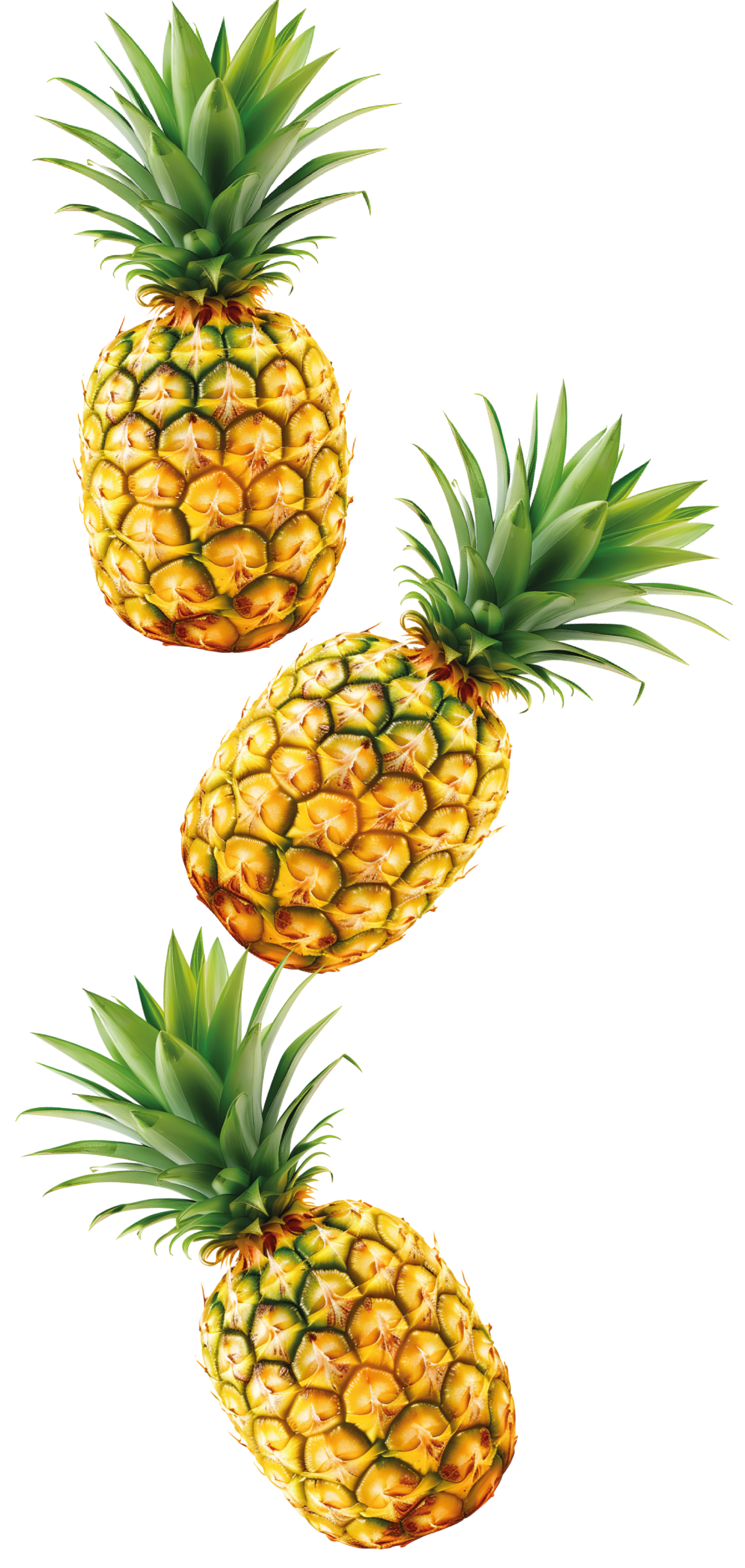 Tre ananas sono allineati in fila su uno sfondo bianco.