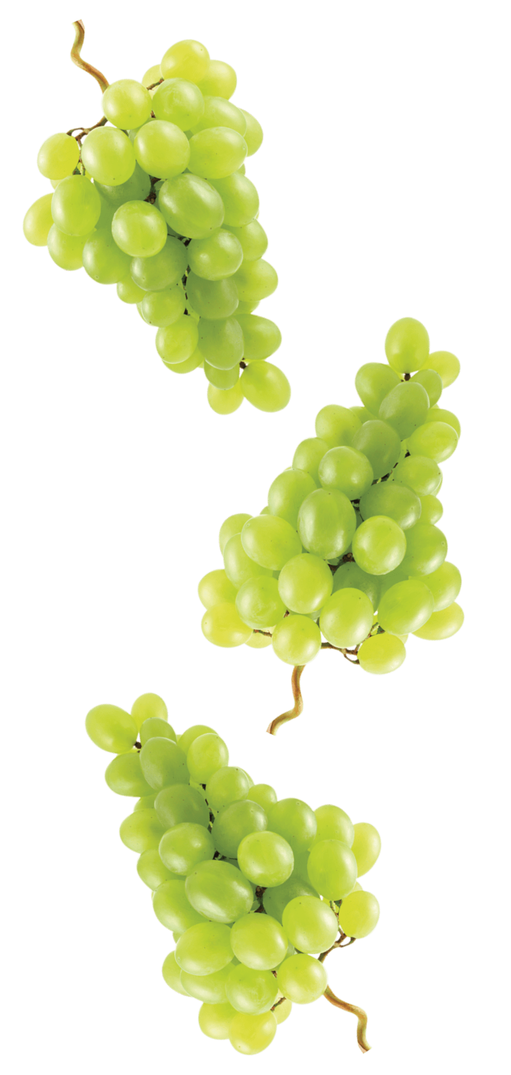 Tre grappoli d'uva verde su sfondo bianco