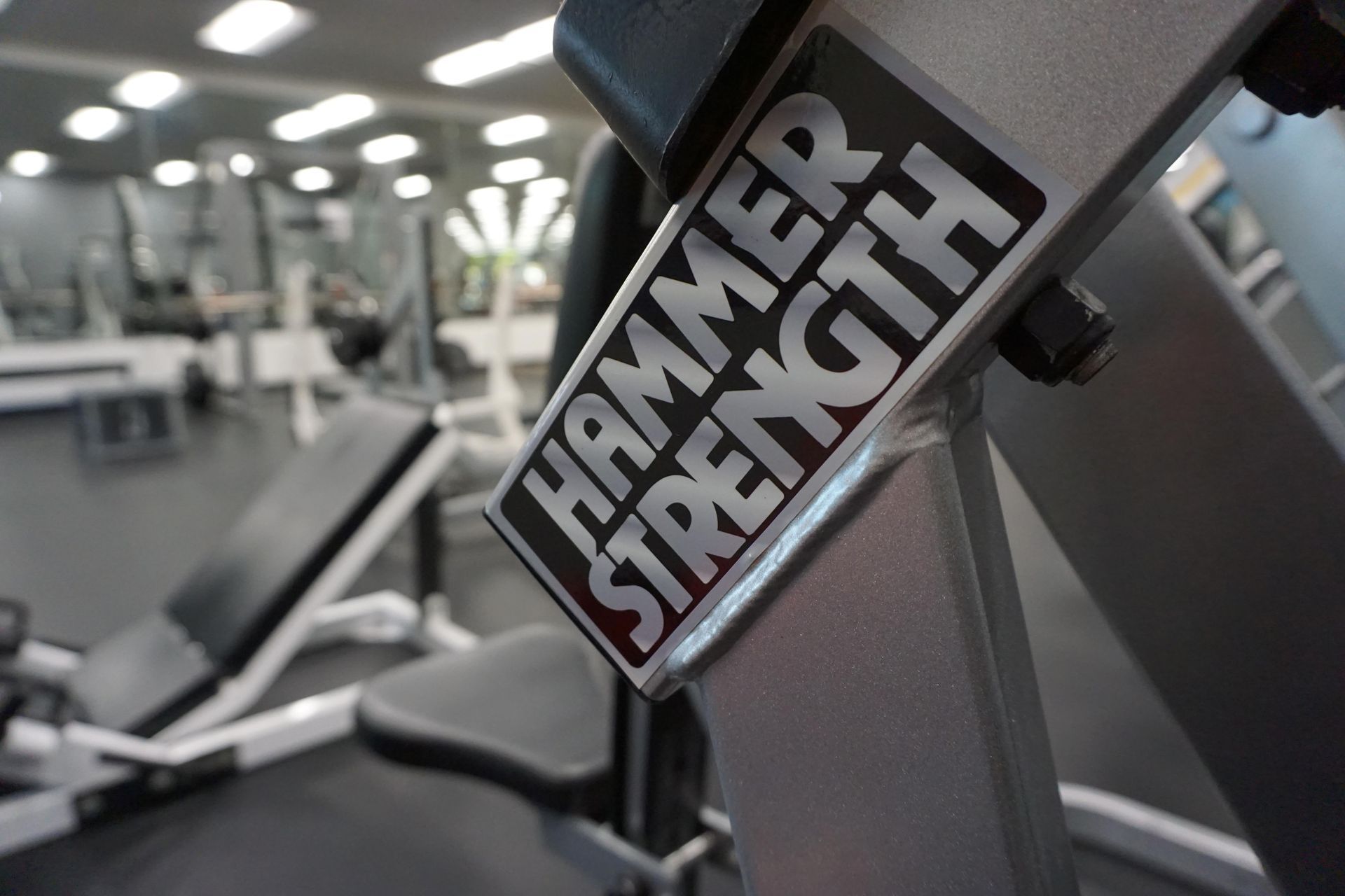 Machine Excercises, Free weights, dumbells, Body Weight excercises, Best Gym in El Dorado Hills, Trainers, Bootcamps