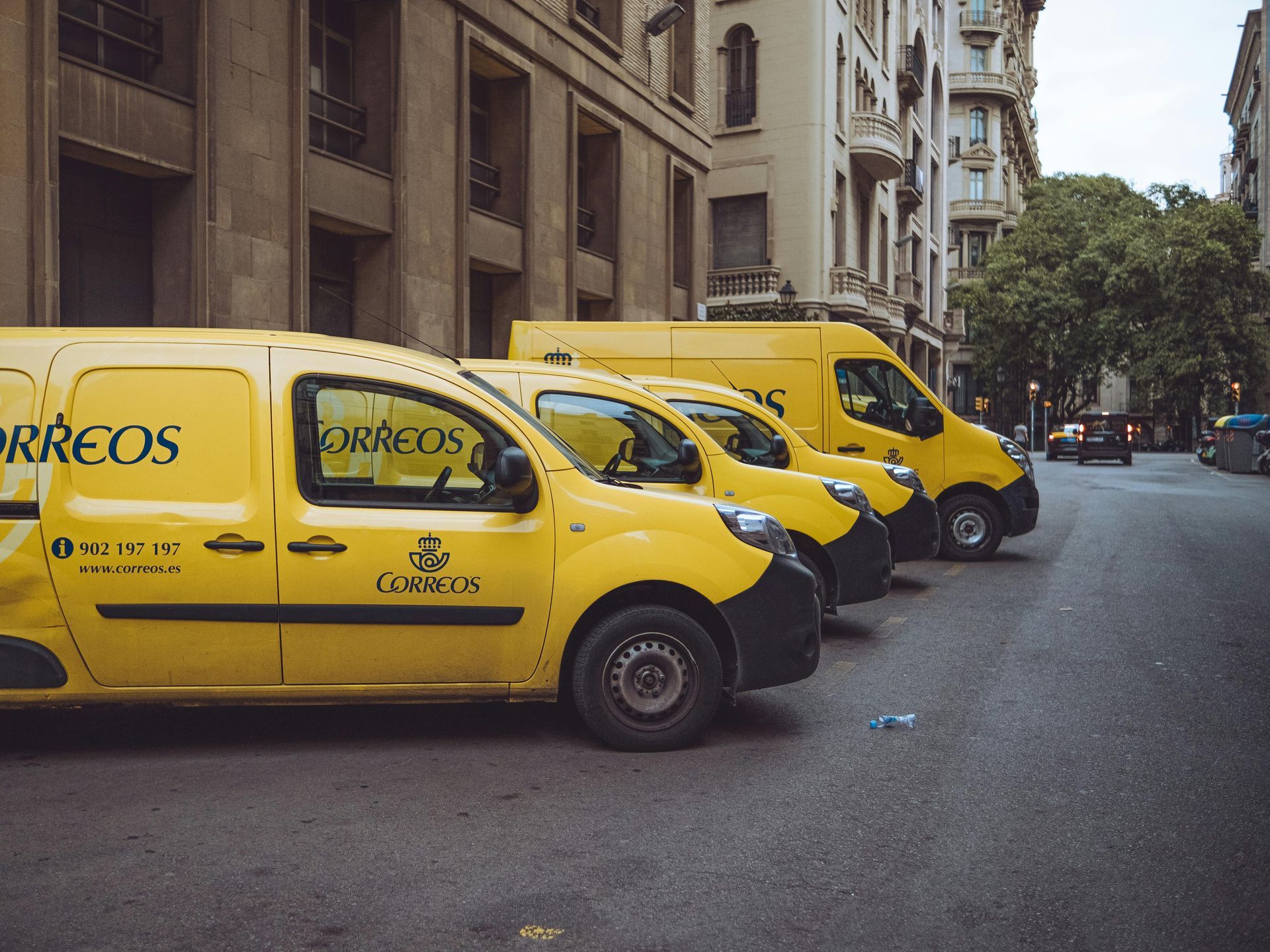 A row of school buses are parked in a parking lot.