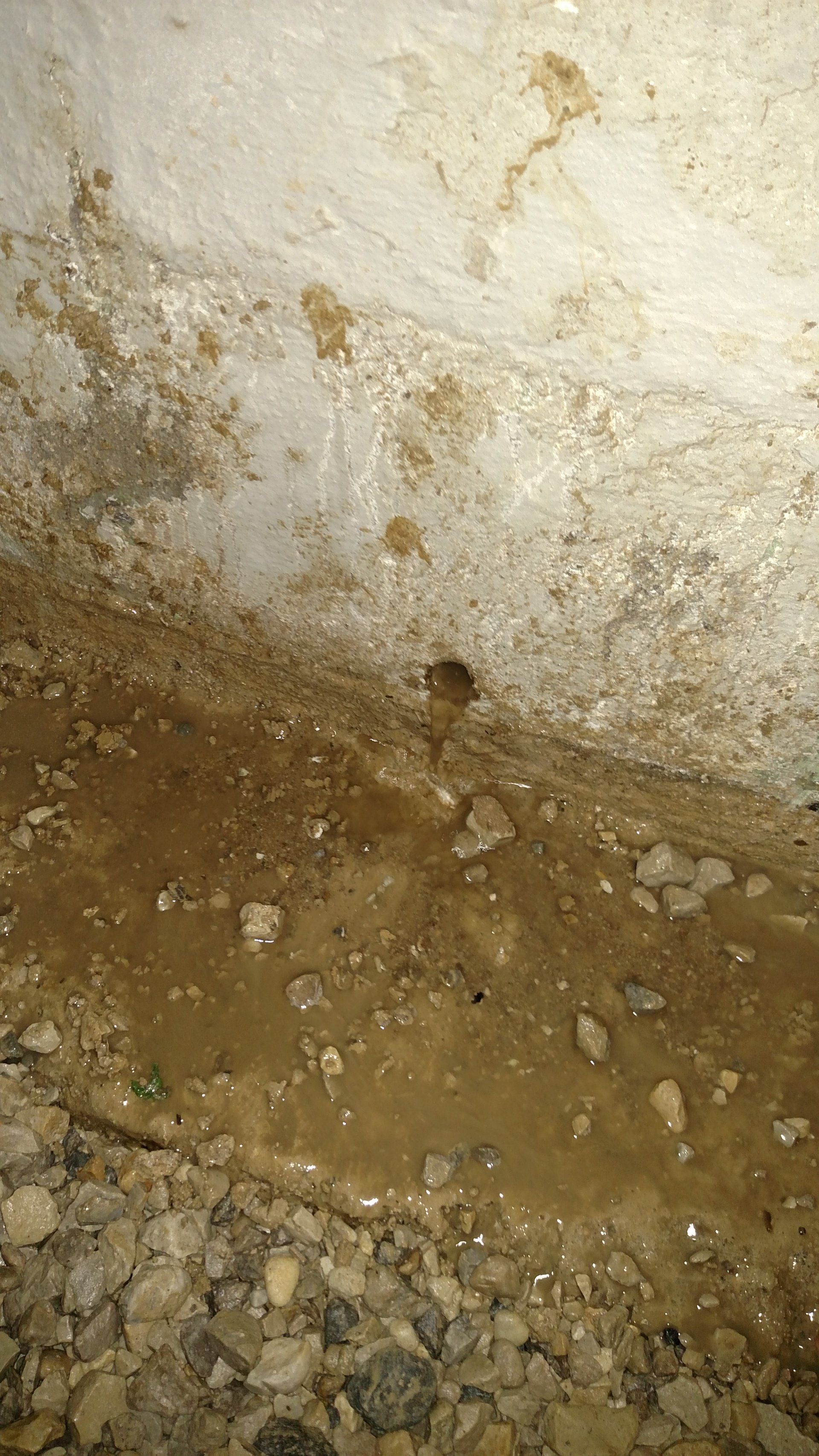 foundation concrete A close up of a muddy area under a concrete wall.